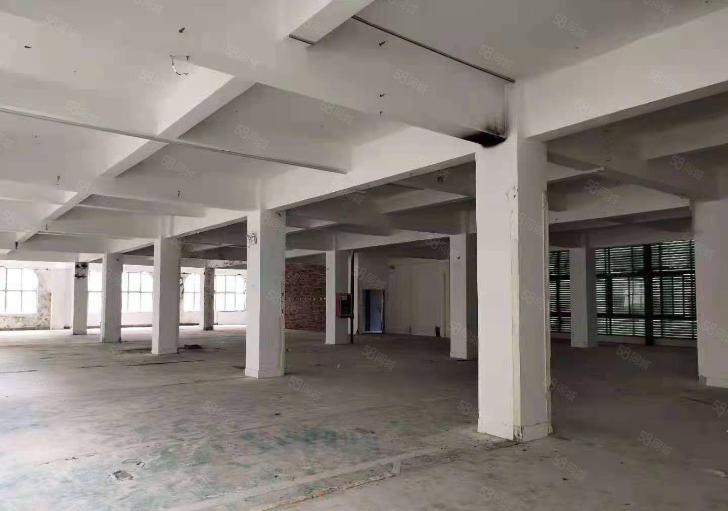 塘坑地铁站五百米厂房1300平米招租