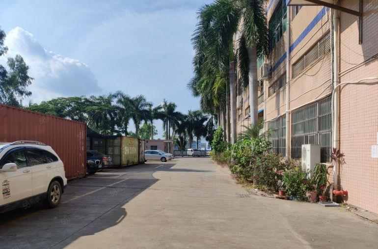 平地坪西红本1000平精装修办公室加车间厂房超低价15元出租