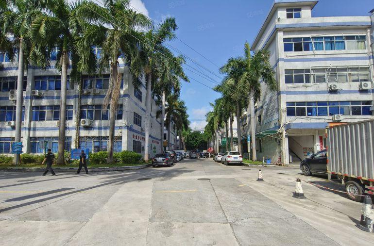 现成水电带装修南联科技园楼上800平办公仓库厂房低价出租