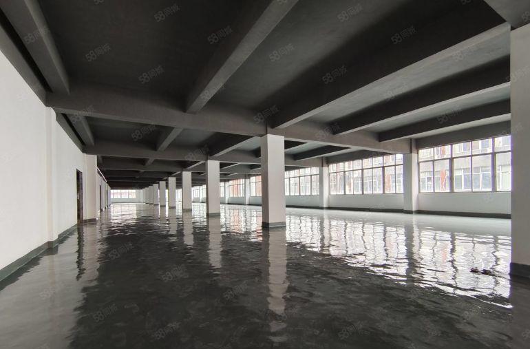 低价！布吉李朗100平起租全新厂房地坪漆原房东红本可加工行业