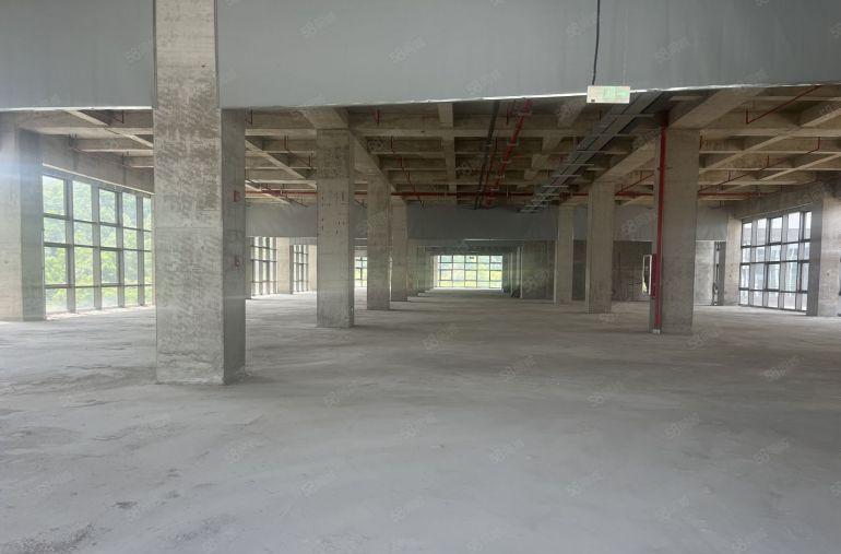 开发商实际面积出租，龙岗区园山新型生物医药厂房，带有废水排放