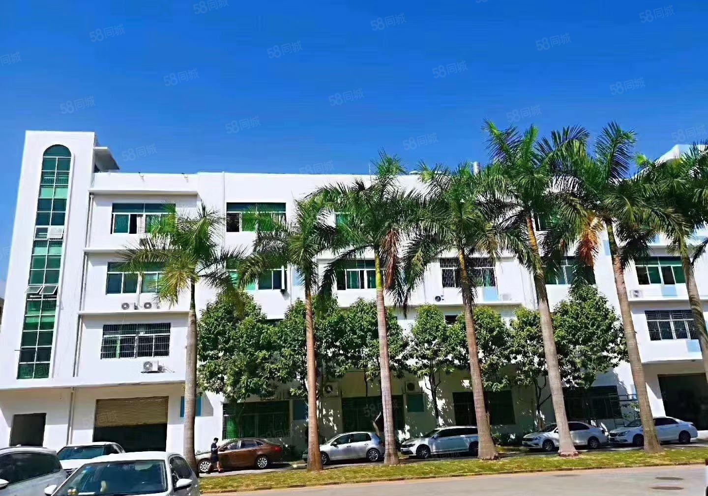 龙东原房东大型工业园新空出一楼1000平方带牛角厂房可分租