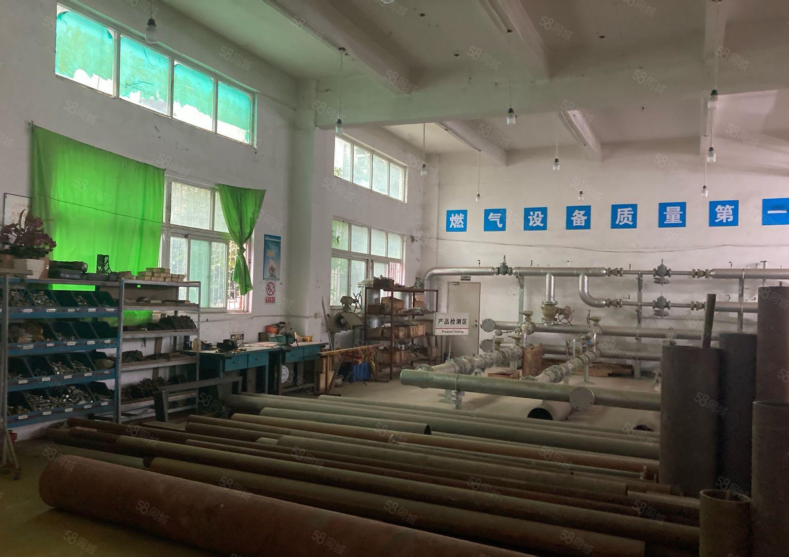 真实照片实际面积出租同乐分租一楼500平