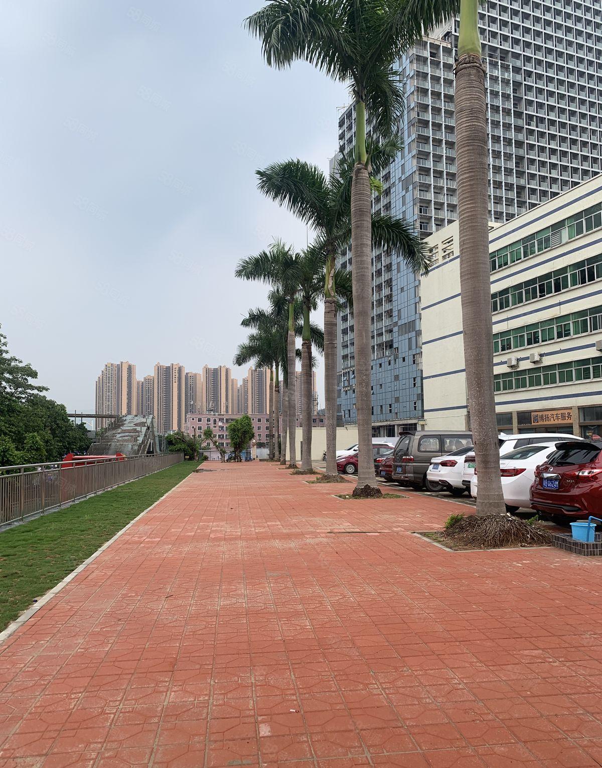 李朗 联创科技园 一手房东物业 价格真实透明