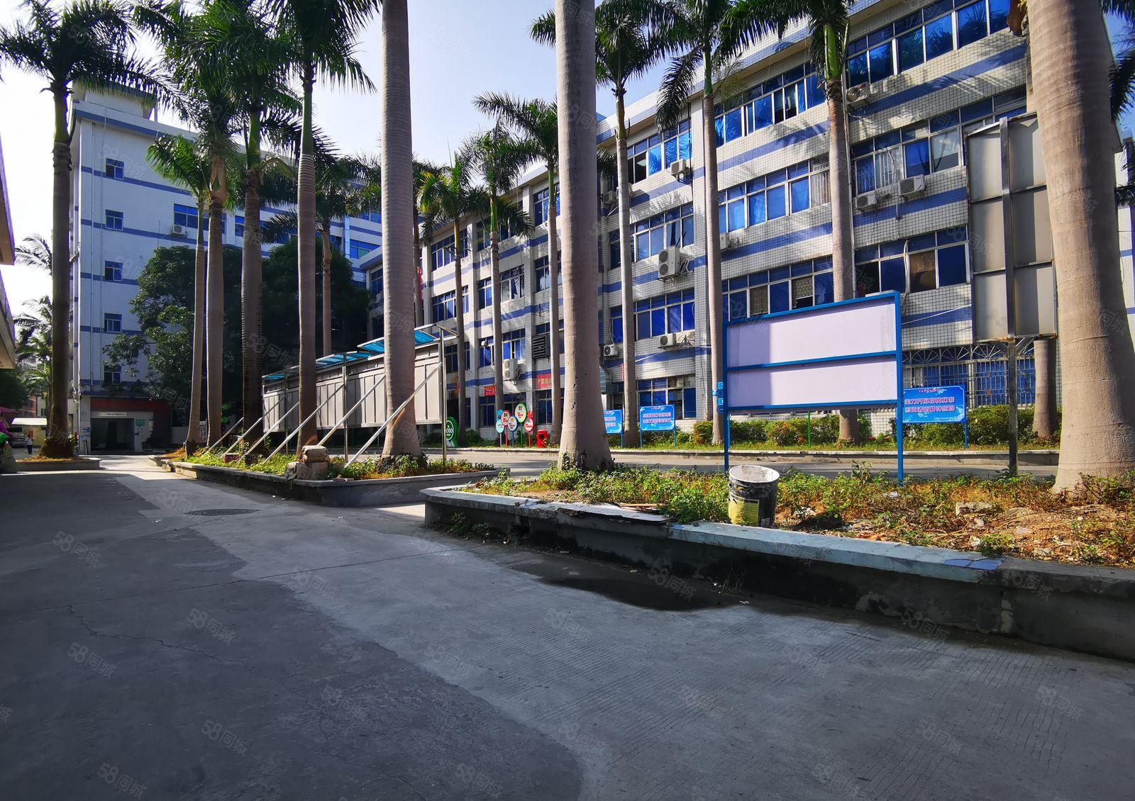 龙岗南联1000平楼上厂房，报价20元一平带装修可分租