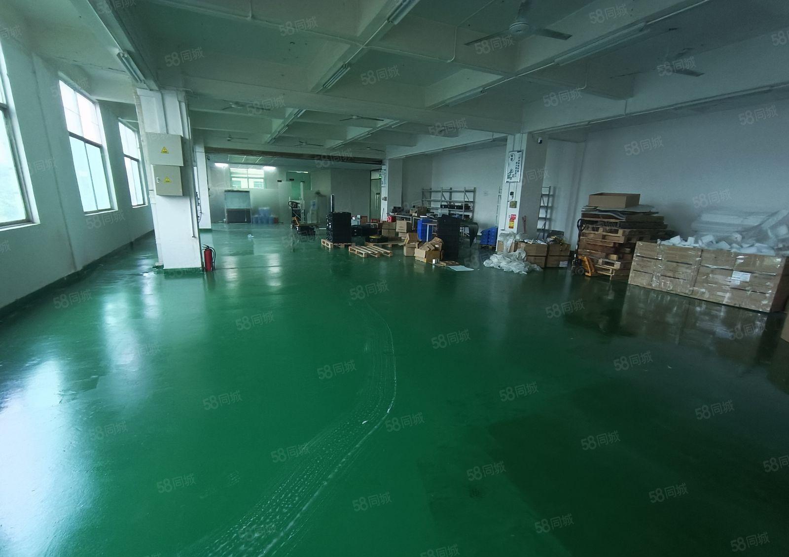 平湖富民工业区1000平方精装修厂房仓库出租(大小可分租)