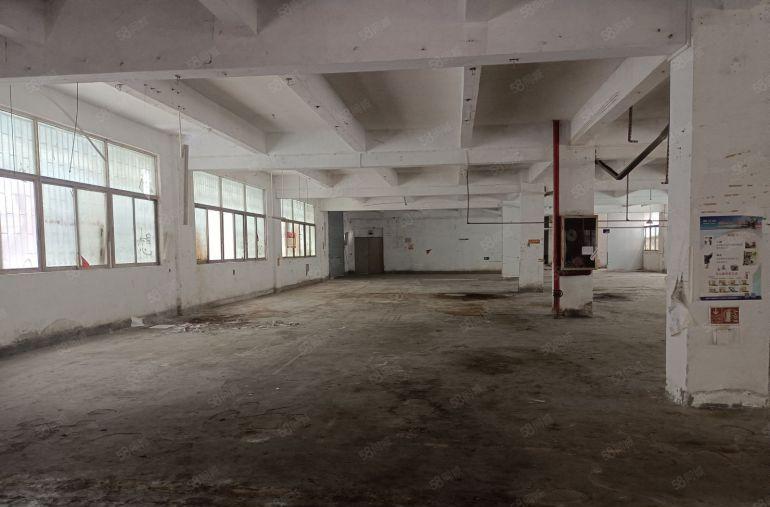 横岗六约新出1000平一楼厂房出租