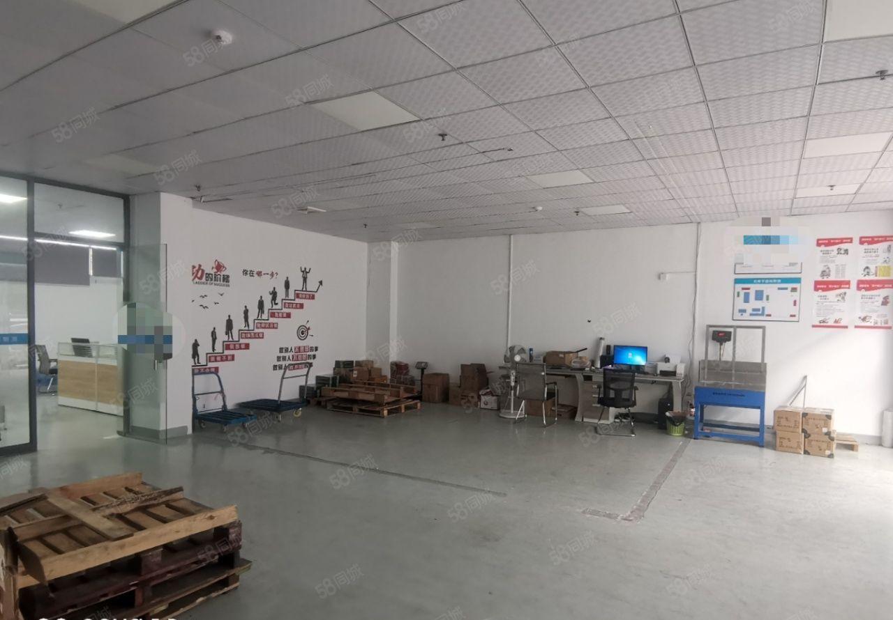 龙岗坂田新出一楼260平办公厂房出租