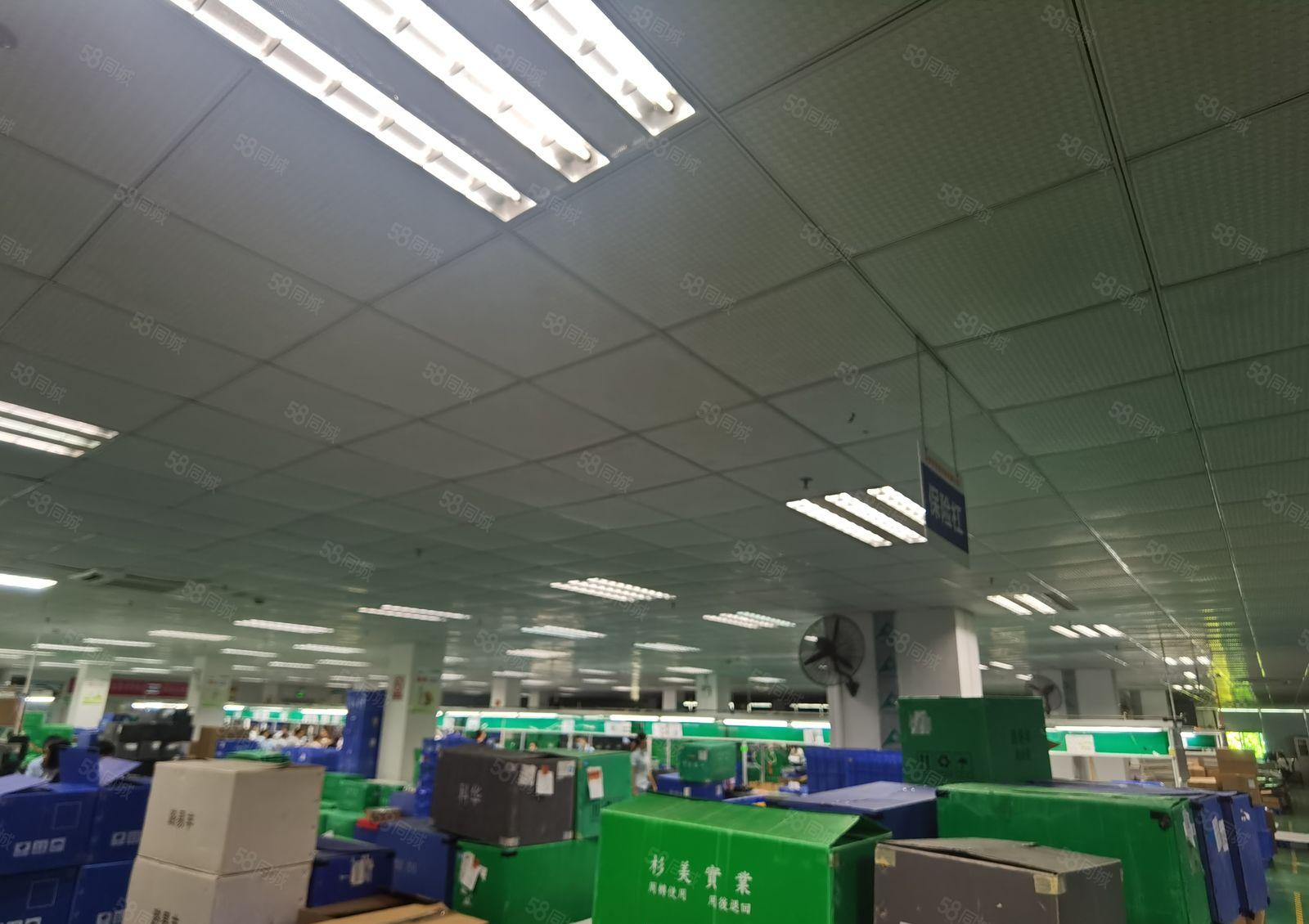 现成装修！龙岗宝龙科技园原房东直租2000平米实际面积出租