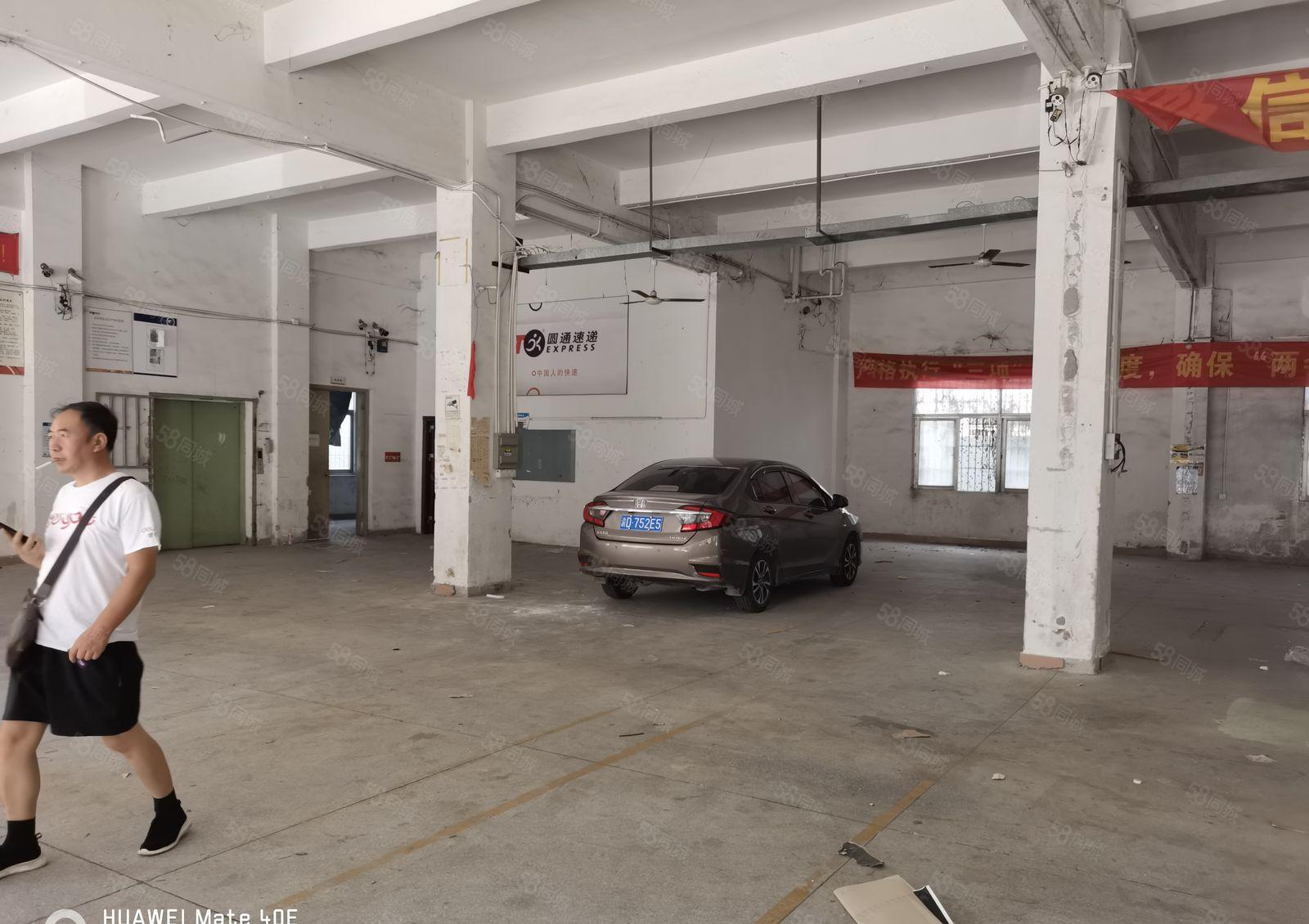 横岗大康新出原房东1300平方，一楼厂房