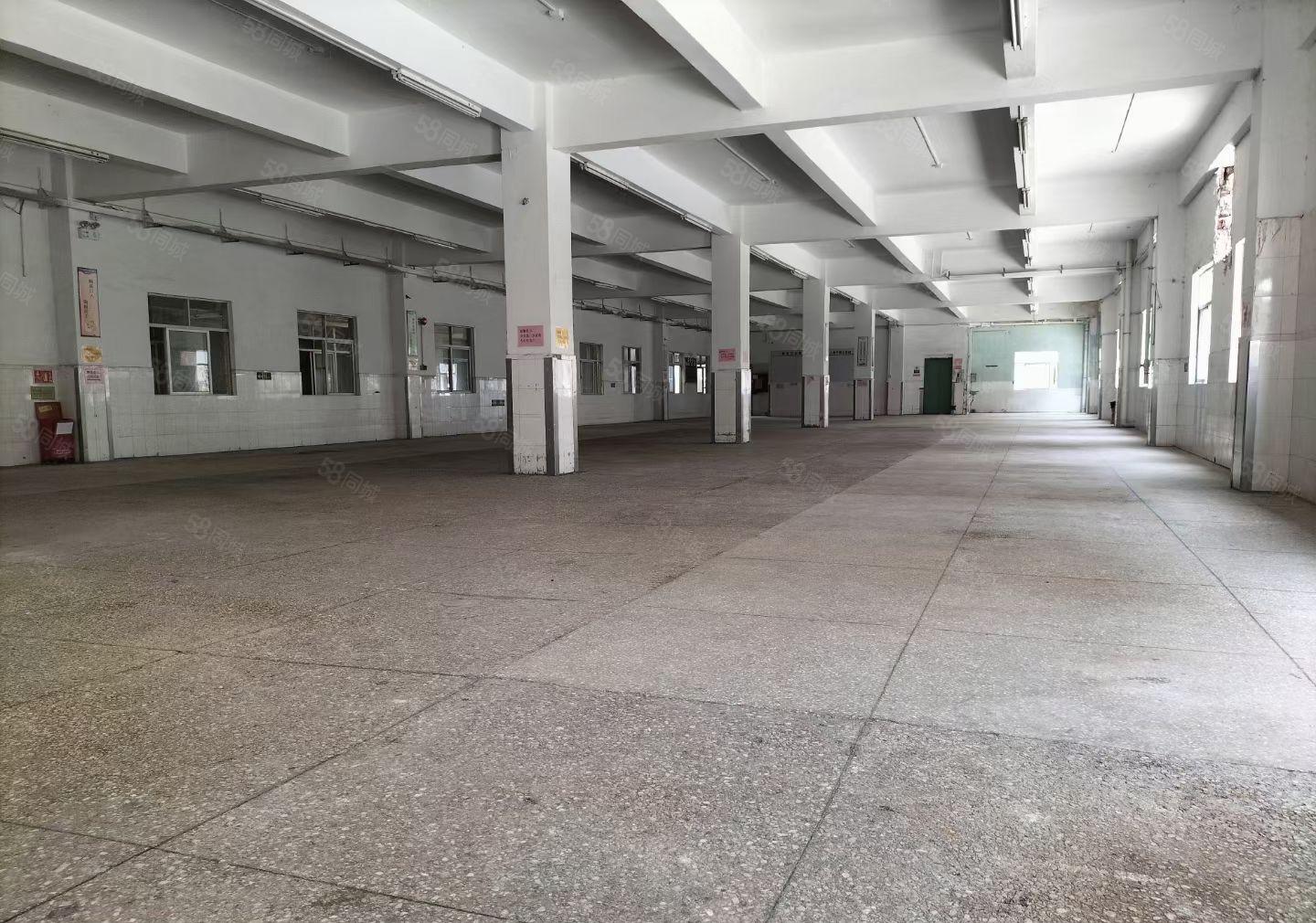 塘坑地铁站200米一楼厂房招租