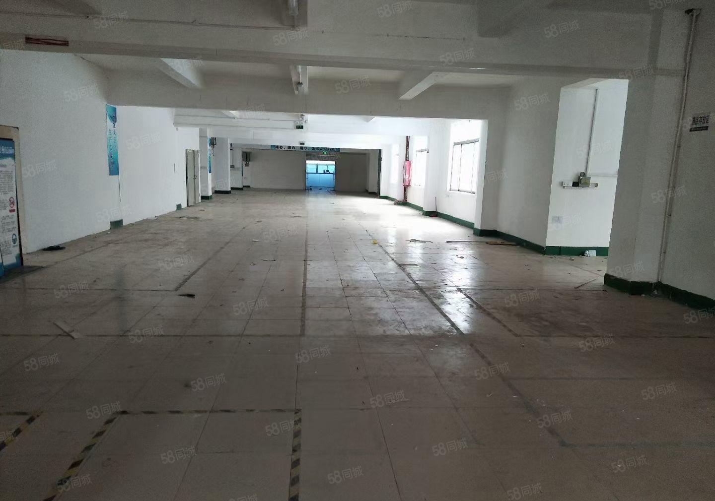 龙岗镇龙东红本二楼厂房1250平方米可分租现成水电有电梯