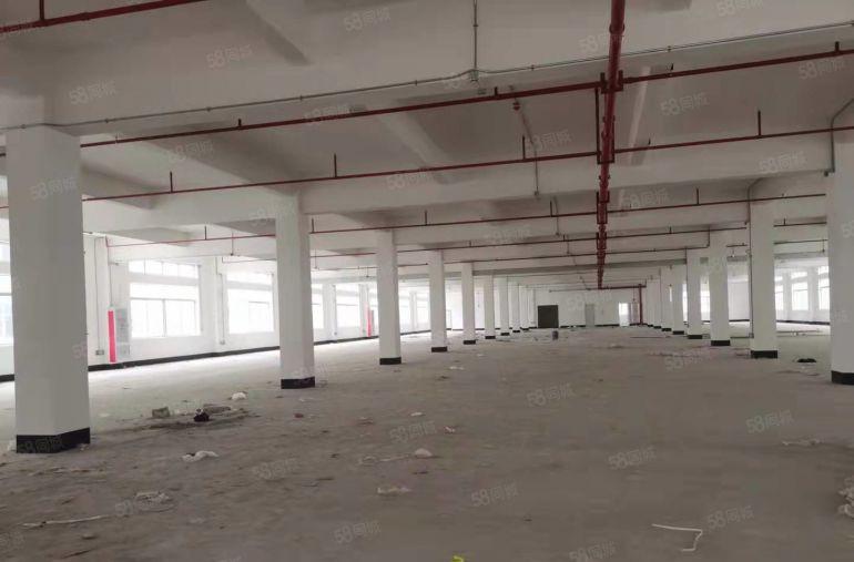 龙岗红本一楼2000平带牛角，二楼2000平厂房仓库低价出租