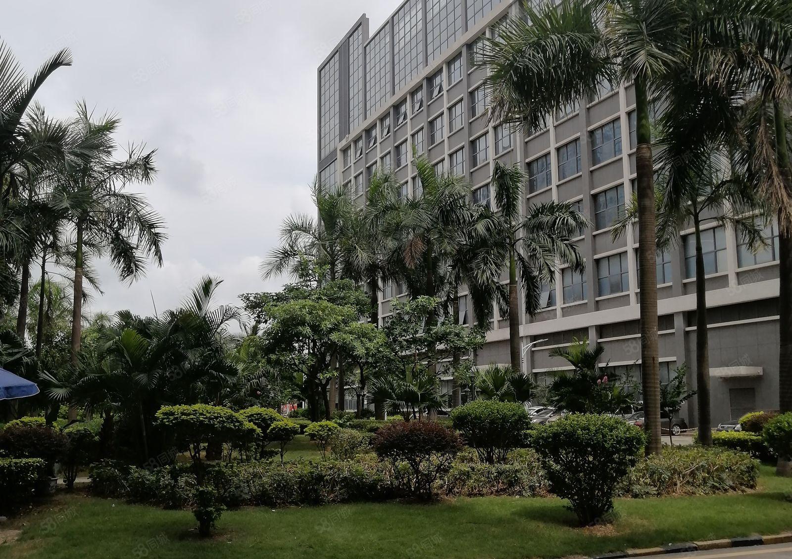 平湖华南城500平起分租，原房东单层3000平独院厂房仓库。