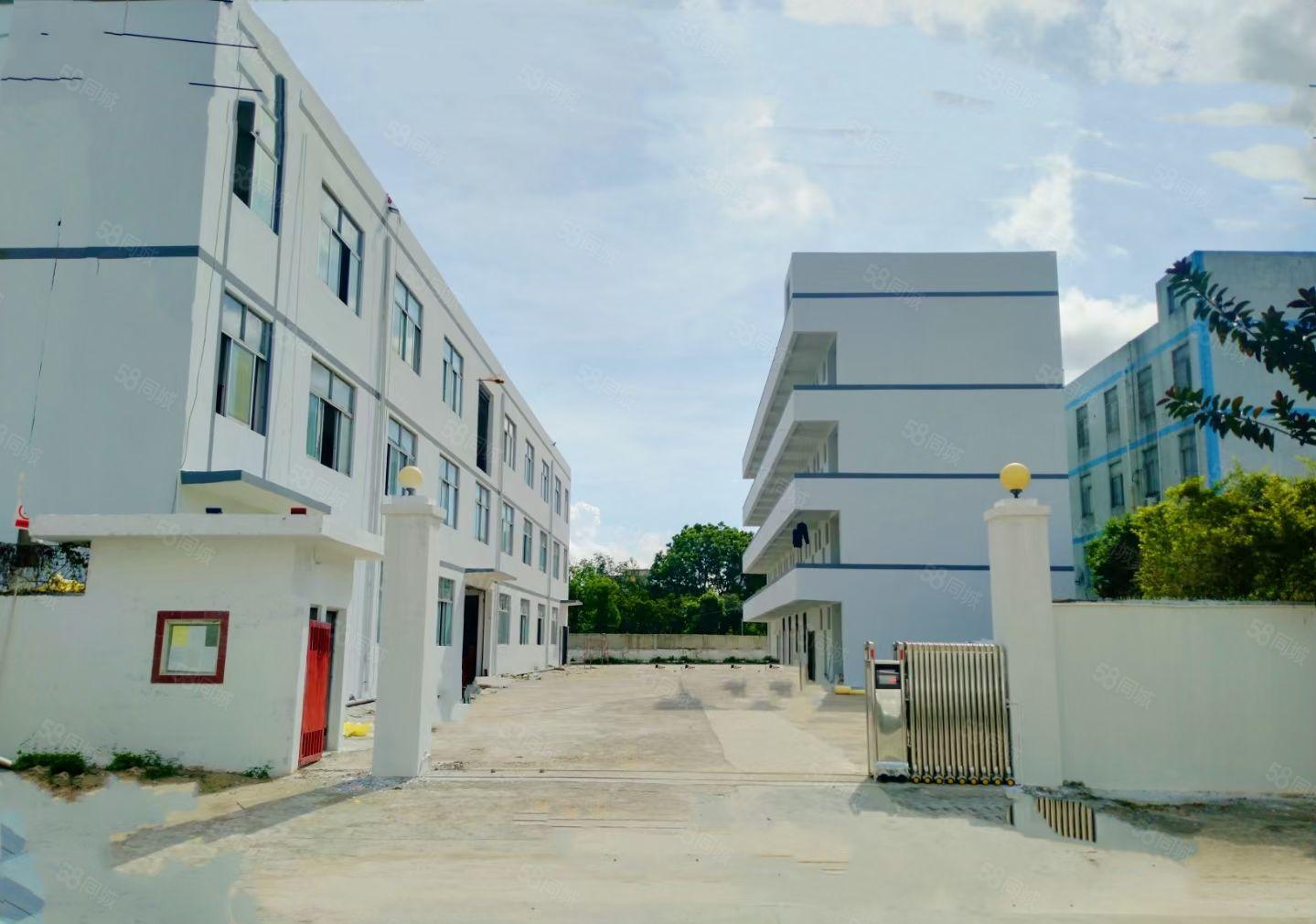 龙岗镇新生花园式独院厂房三层4000平方米低价租也可分租