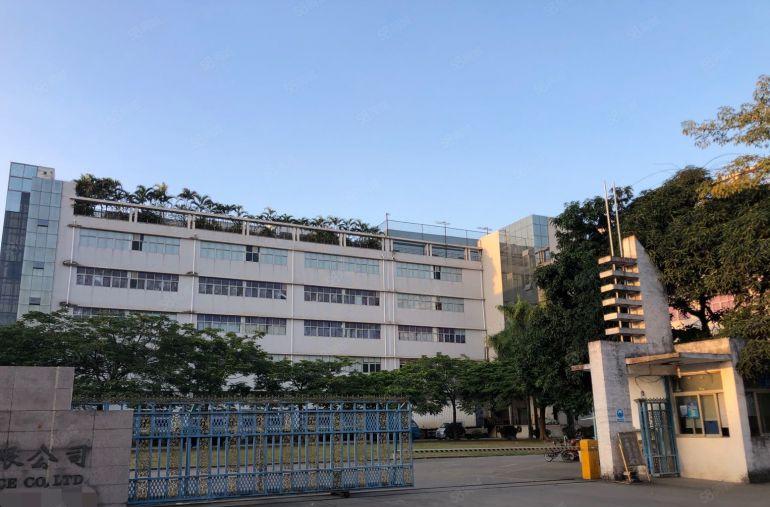 六约新出红本独院分租2楼整层2000平带精装修办公室厂房出租