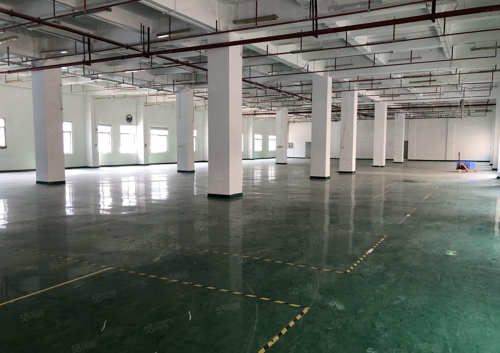 龙岗平湖新出950平精装修厂房，可分租，价格实惠带红本。