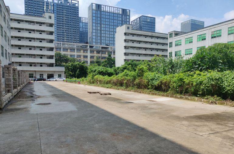 深圳平湖地铁口原房东一楼1200平花园式厂房出租带地坪漆免佣