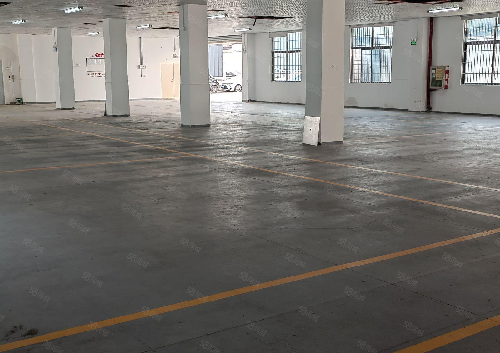 龙岗平湖华南城高新技术产业园全新装修整栋4650平米厂房出租