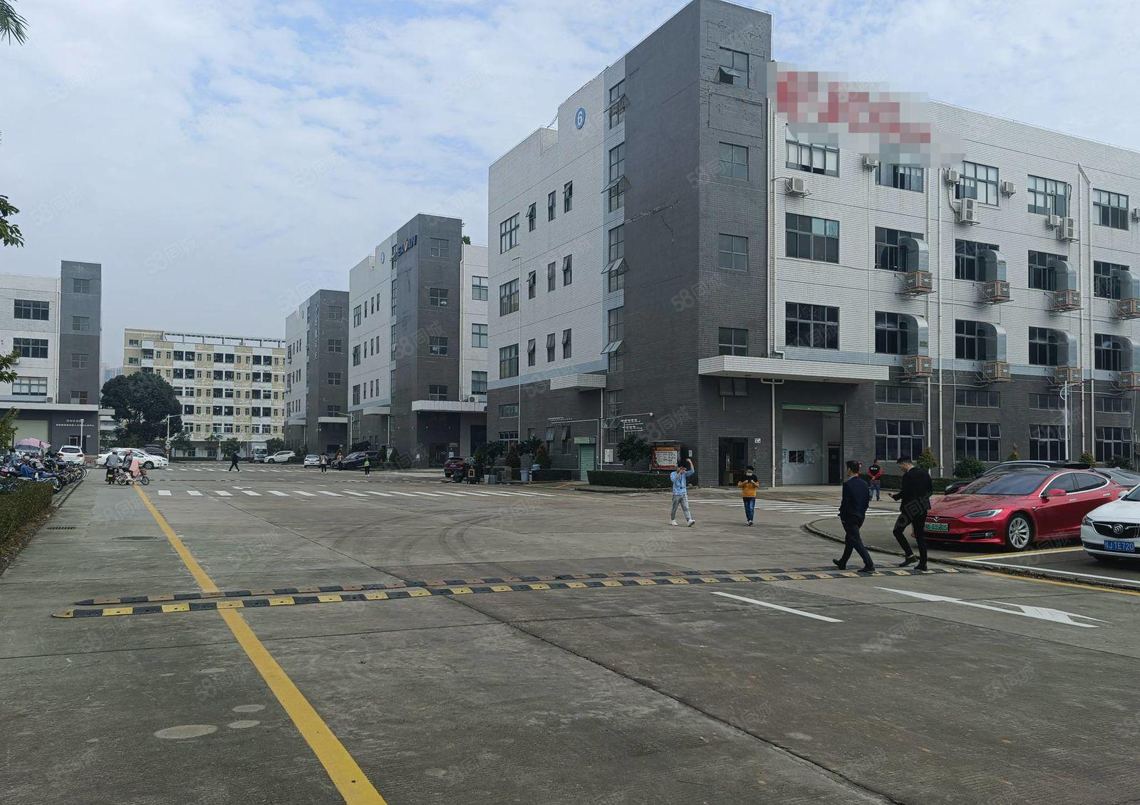 龙岗新出1000平至8000平厂房仓库一二楼出租独院大小分租