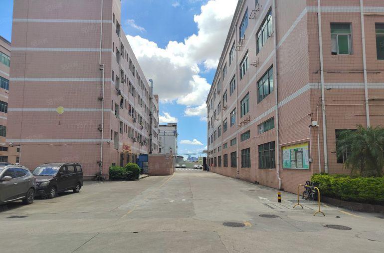 横岗坳背园区楼上1000平仓库厂房低价20元起出租，可以分租