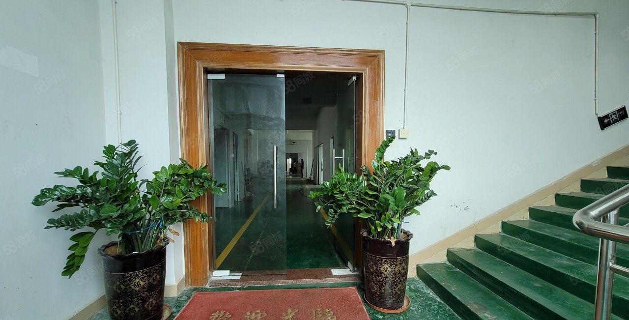 500平方龙岗坪地低价精装修标准厂房出租！