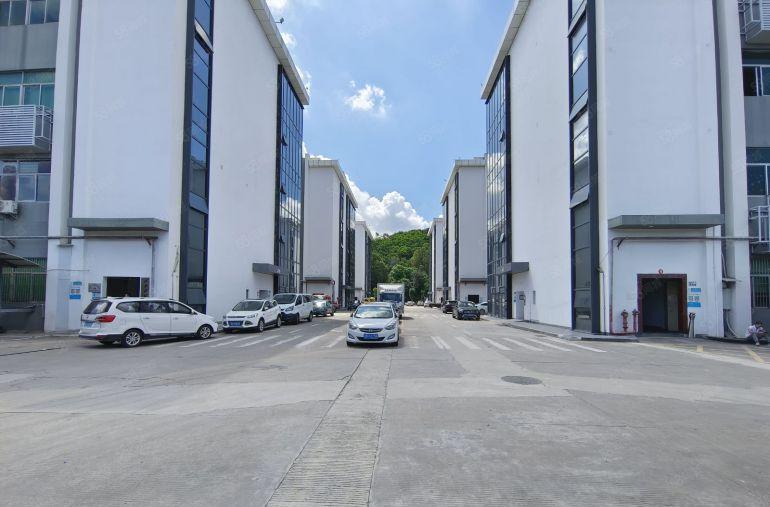 水电齐全龙岗南联大型科技园新出600平办公仓库厂房低价出租