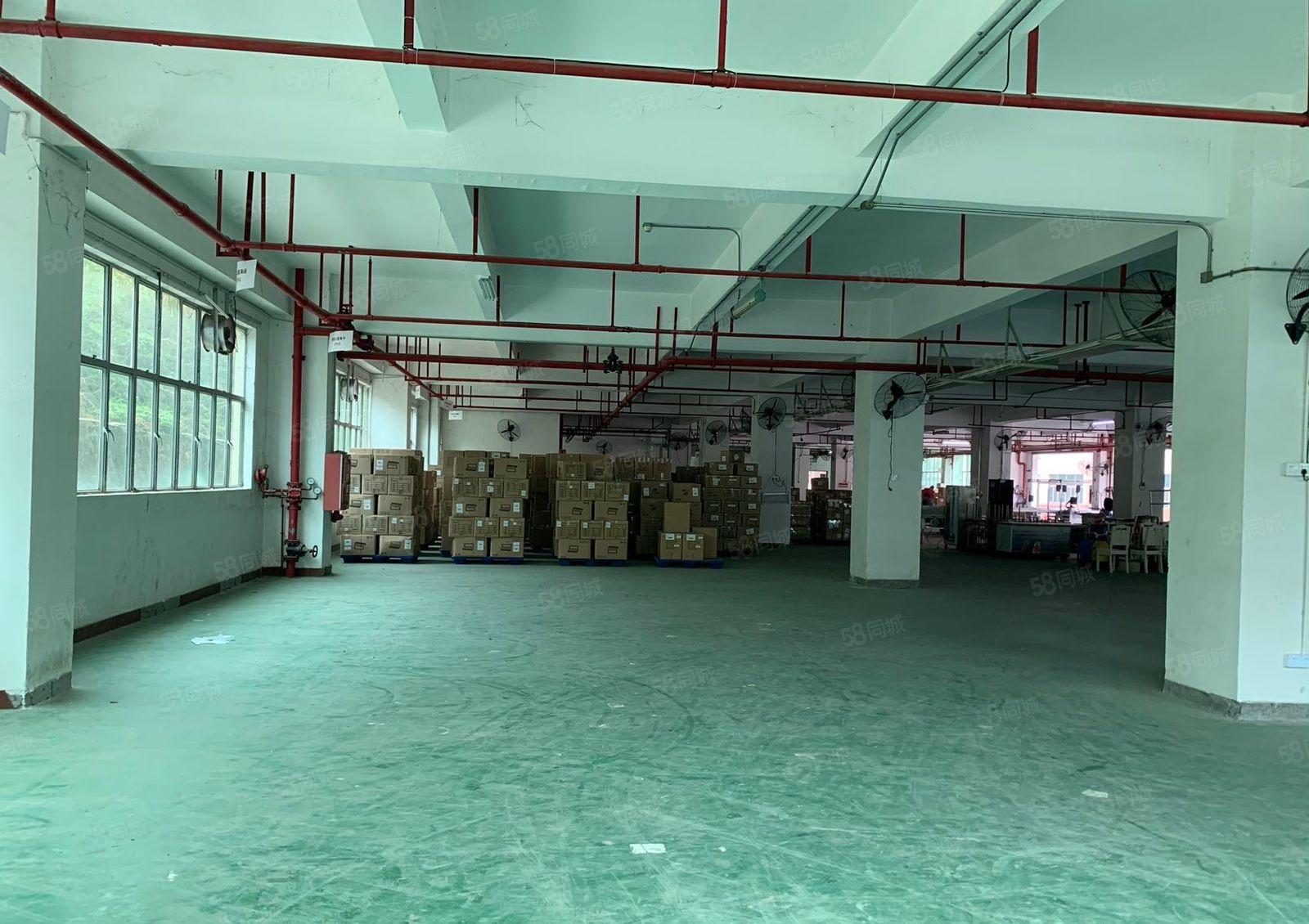 带港车码地铁口一楼2300平带卸货平台，快递物流