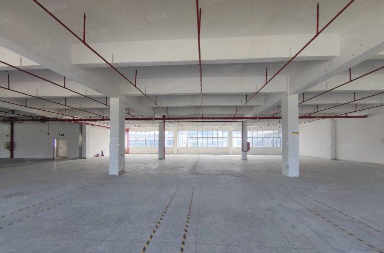 300平起分 横岗六约2000平厂房仓库出租 一手房东实用高