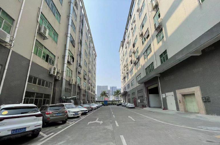 超大空地杨美2000平一楼标准厂房200平起分适合物流仓库