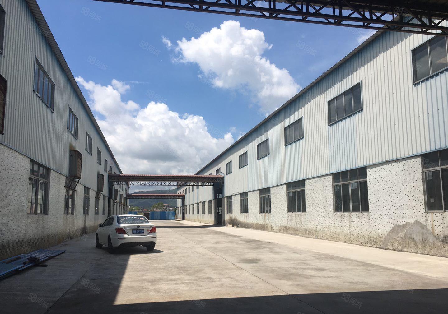 龙岗龙腾工业园单一层钢构滴水10米1800平厂房出租 进拖头