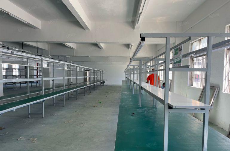 横岗原房东全新装修现成办公室，大小分租