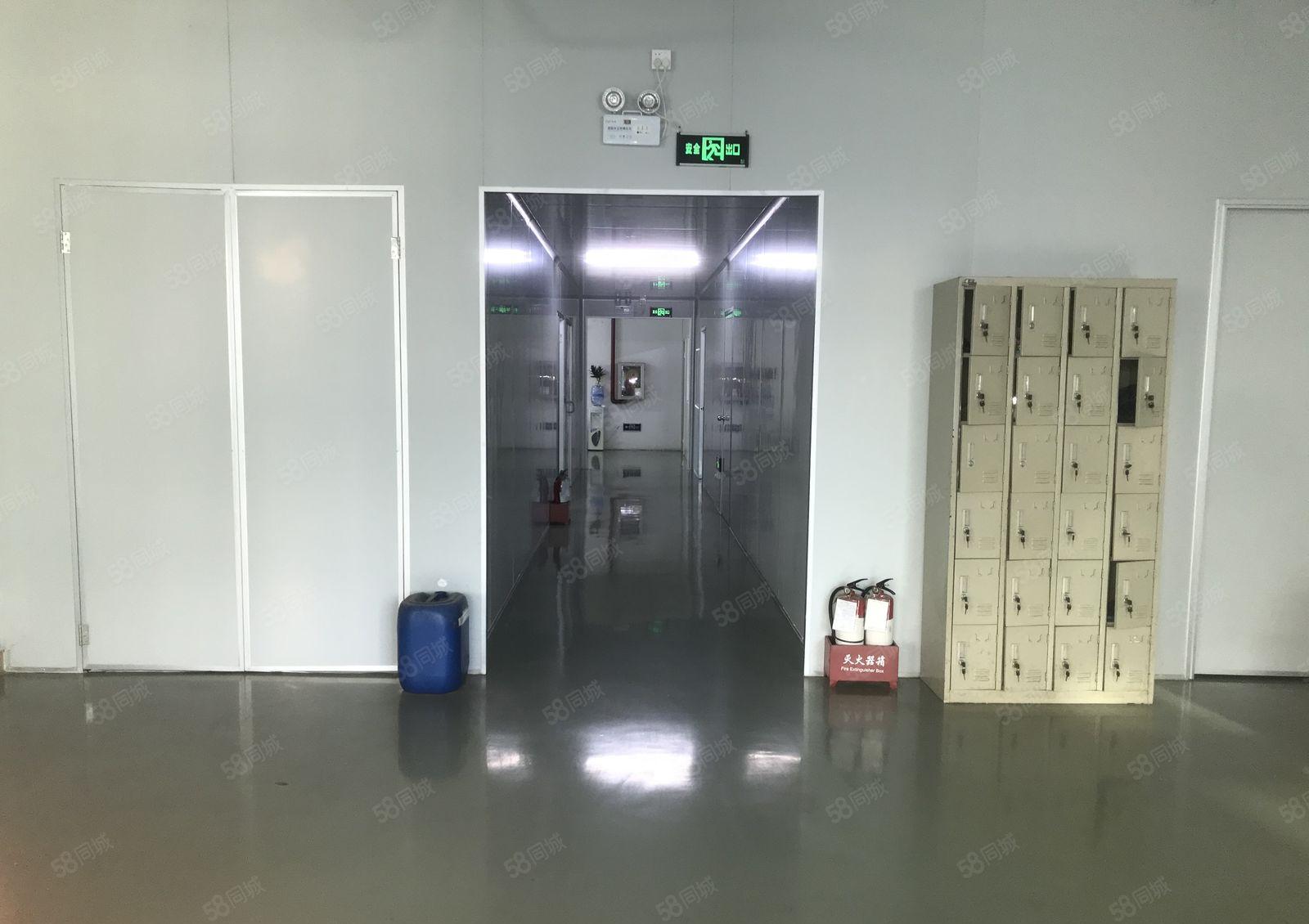 分租或转让无尘车间厂房580平（龙岗宝龙）