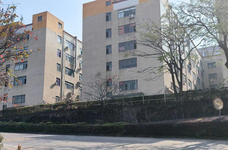 坂田原房东红本厂房出租整层精装修1360平方实际面积房东直租