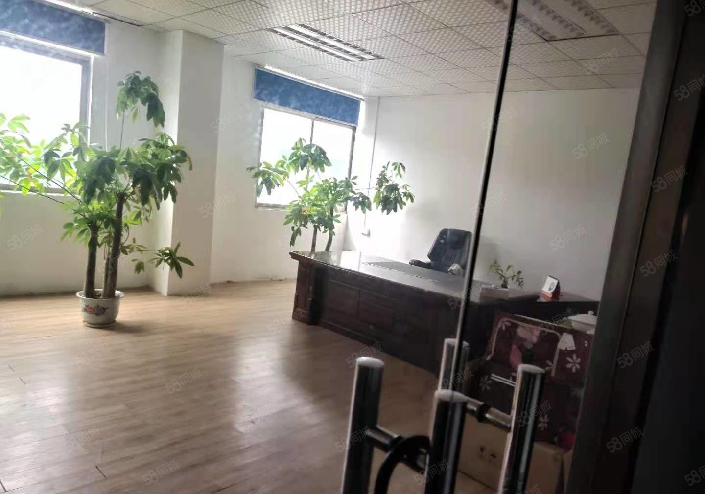 龙岗新出独院900到30000平出租可以分租带装修原房东厂房