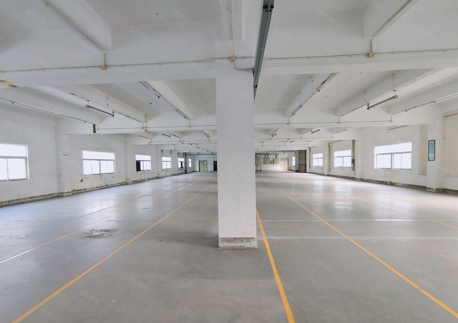 龙岗龙西外环高速原房东二楼1050平厂房出租500平起可分租