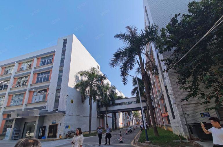 龙岗坪地原房东厂房出租500平起工业园工业仓库出租超大空地