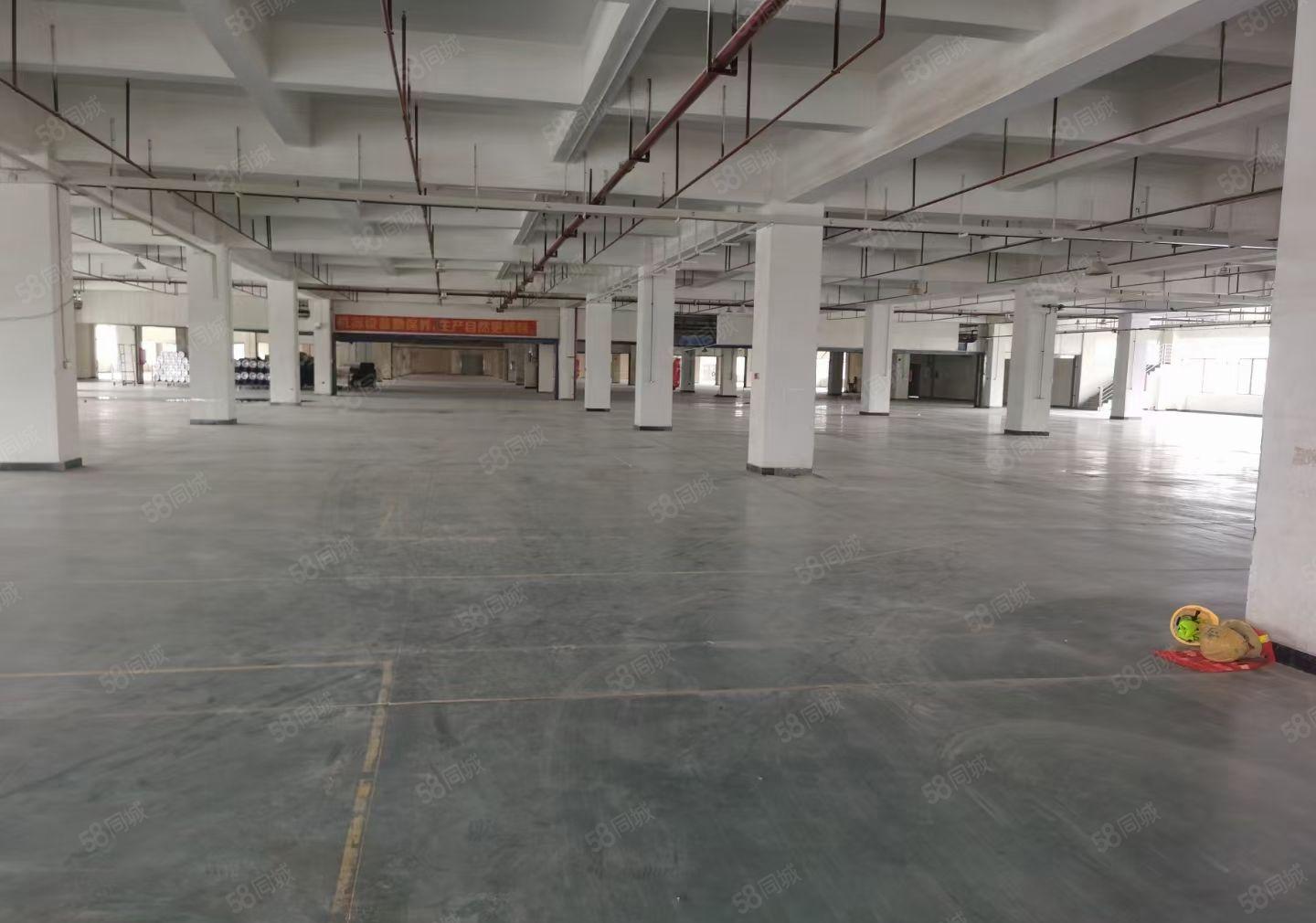 龙岗爱联樟背工业区11000平独院厂房21元精装修原房东出租