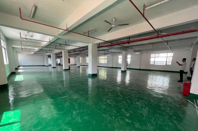 坂田上雪精装修2楼厂房出租1500平原房东带红本可分租