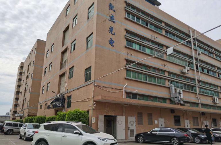 特价21元！平湖禾花原房东1000平厂房仓库低价租，可分租