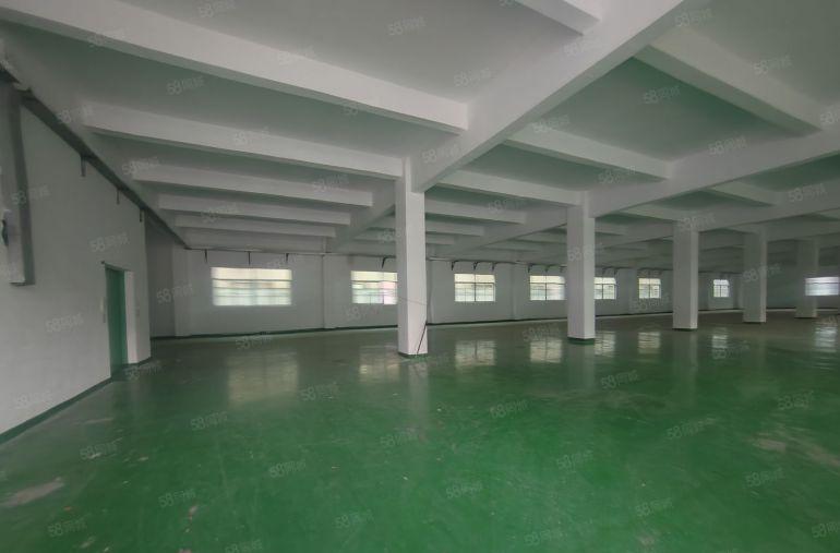 龙岗坂田2000平方标准厂房1000平方可分租