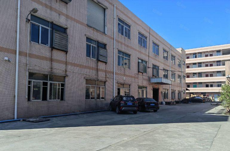 平湖独院新出一楼1000平方厂房仓库出租可分租空地大交通便利