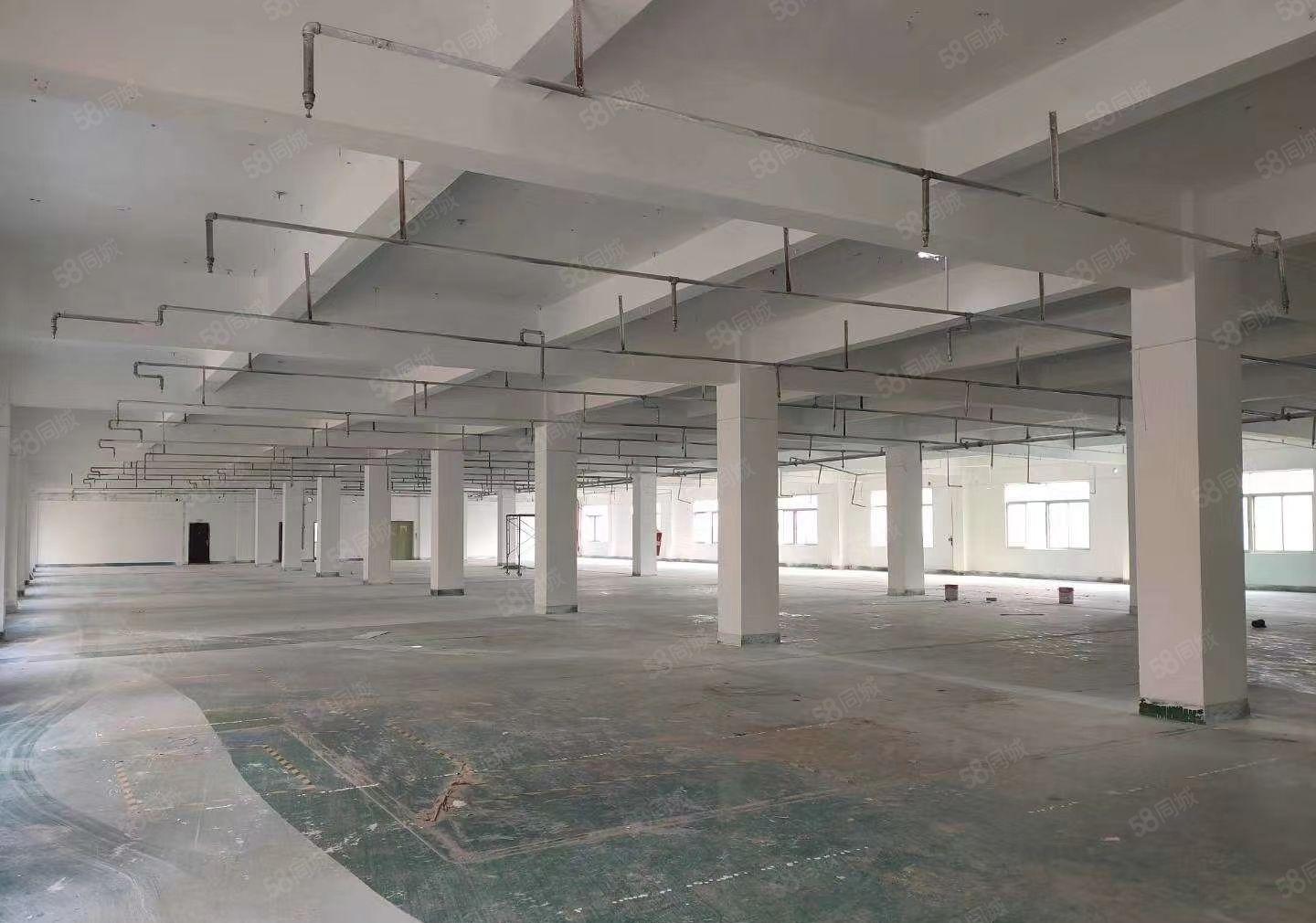 龙岗镇龙东厂房一楼2200平方米4楼1500平方米可分租