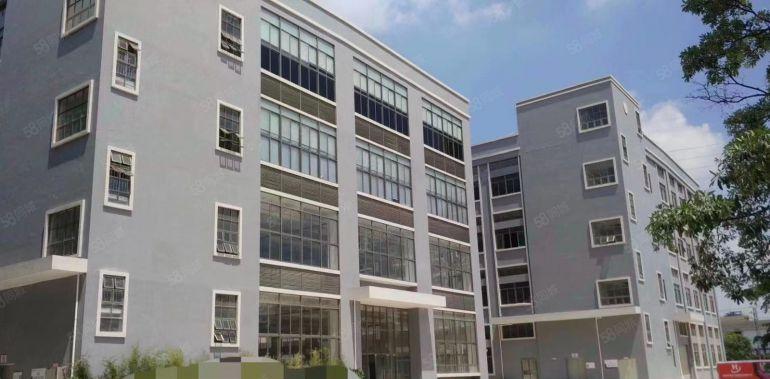 南联工业区原房东产业园新空出整层1500平方豪华装修厂房出租