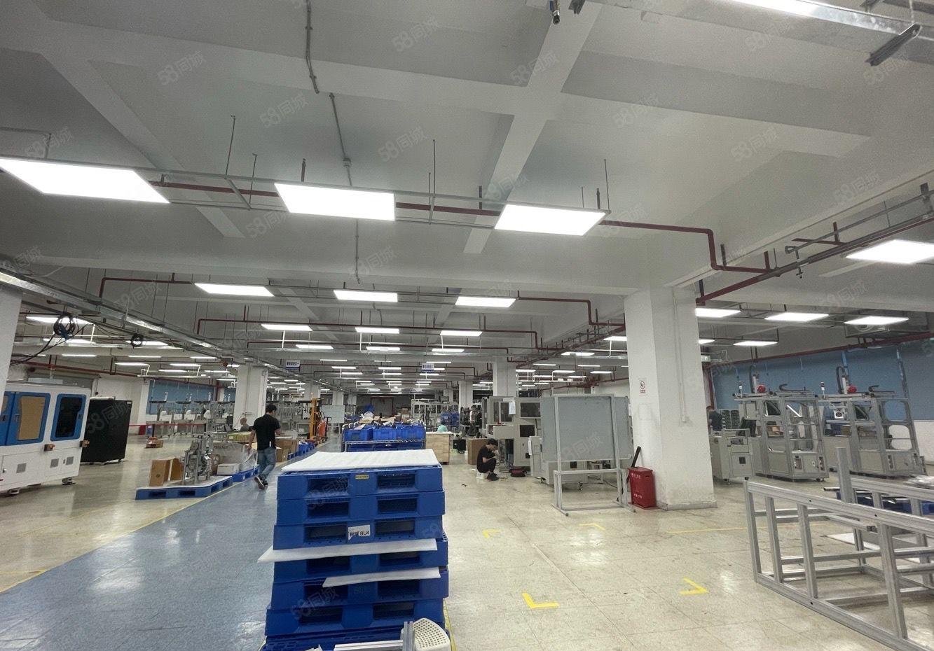 龙岗新出独院5000平报价20元厂房出租，含宿舍，大小可分租