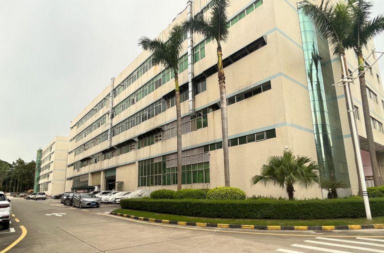 坂田原房东1000平带装修红本厂房仓库低价出租 300平起租