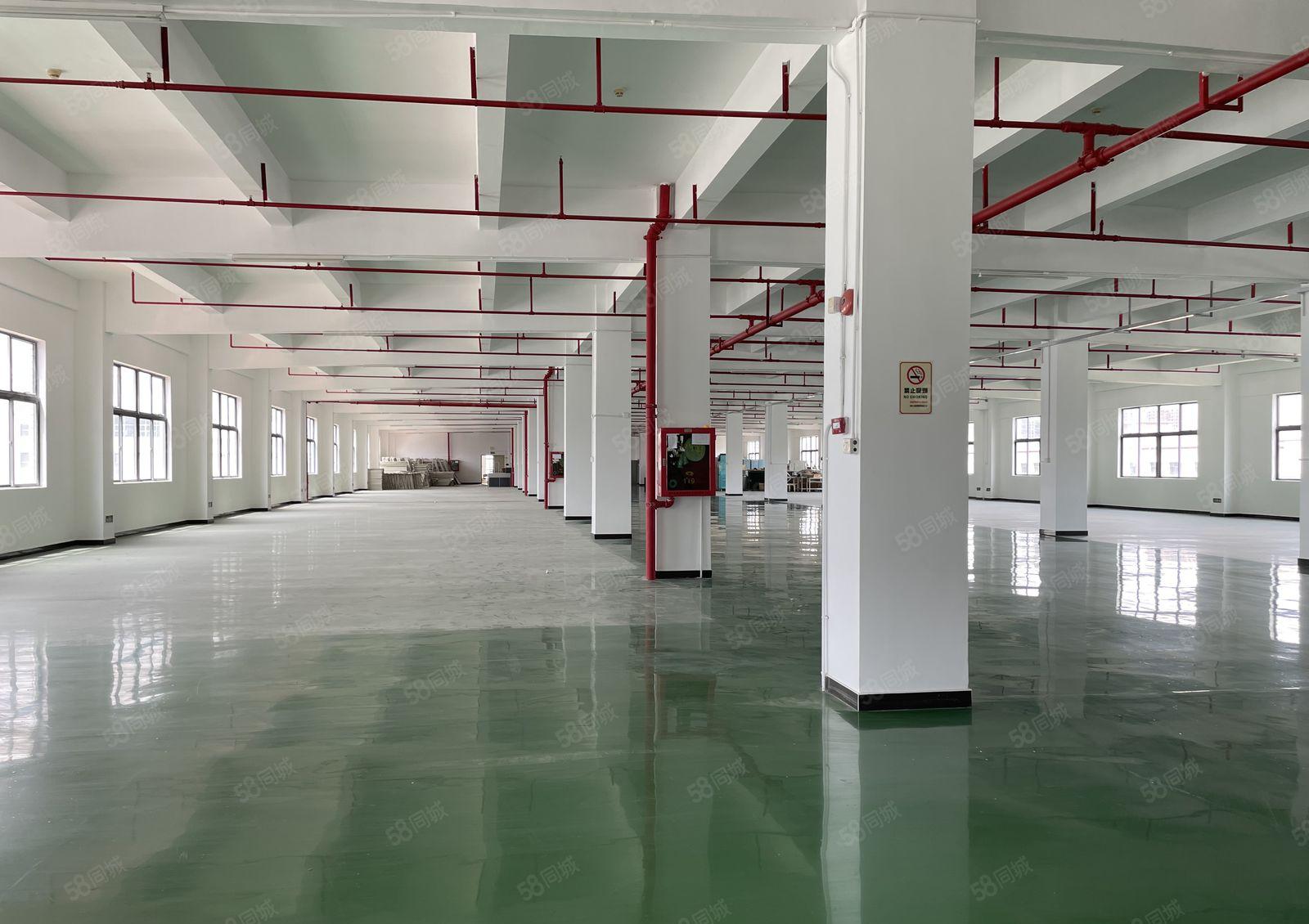 南联原房东大型工业园新空出2楼1500平仓库厂房实际面积出租