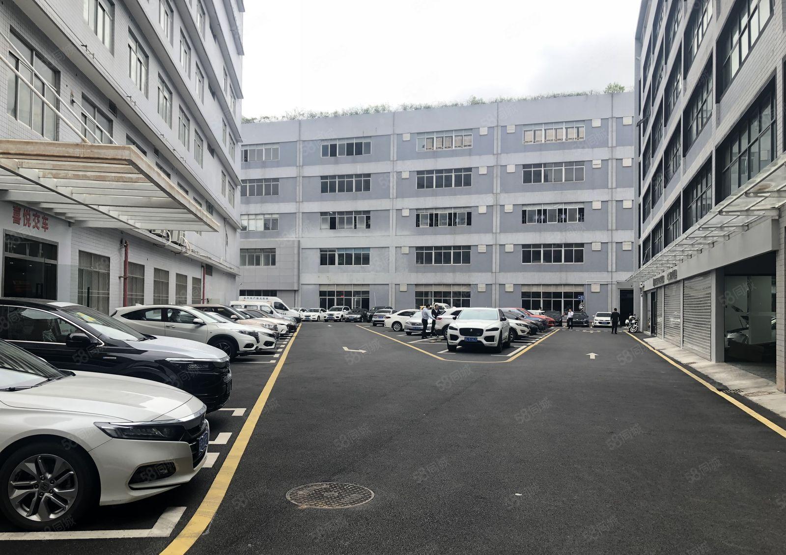 电商办公 坂田龙景科技园楼上500平办公仓库厂房出租
