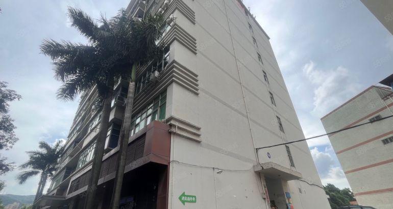 坂田原房东实际面积一层1200平厂房低价出租 带装修仓库出租