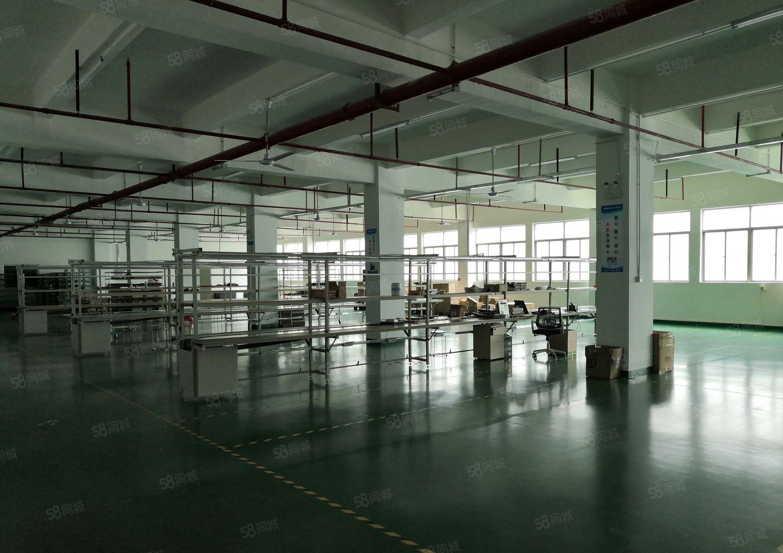 坪地低磷城红本厂房一楼1600平方米楼上1000平方米分租